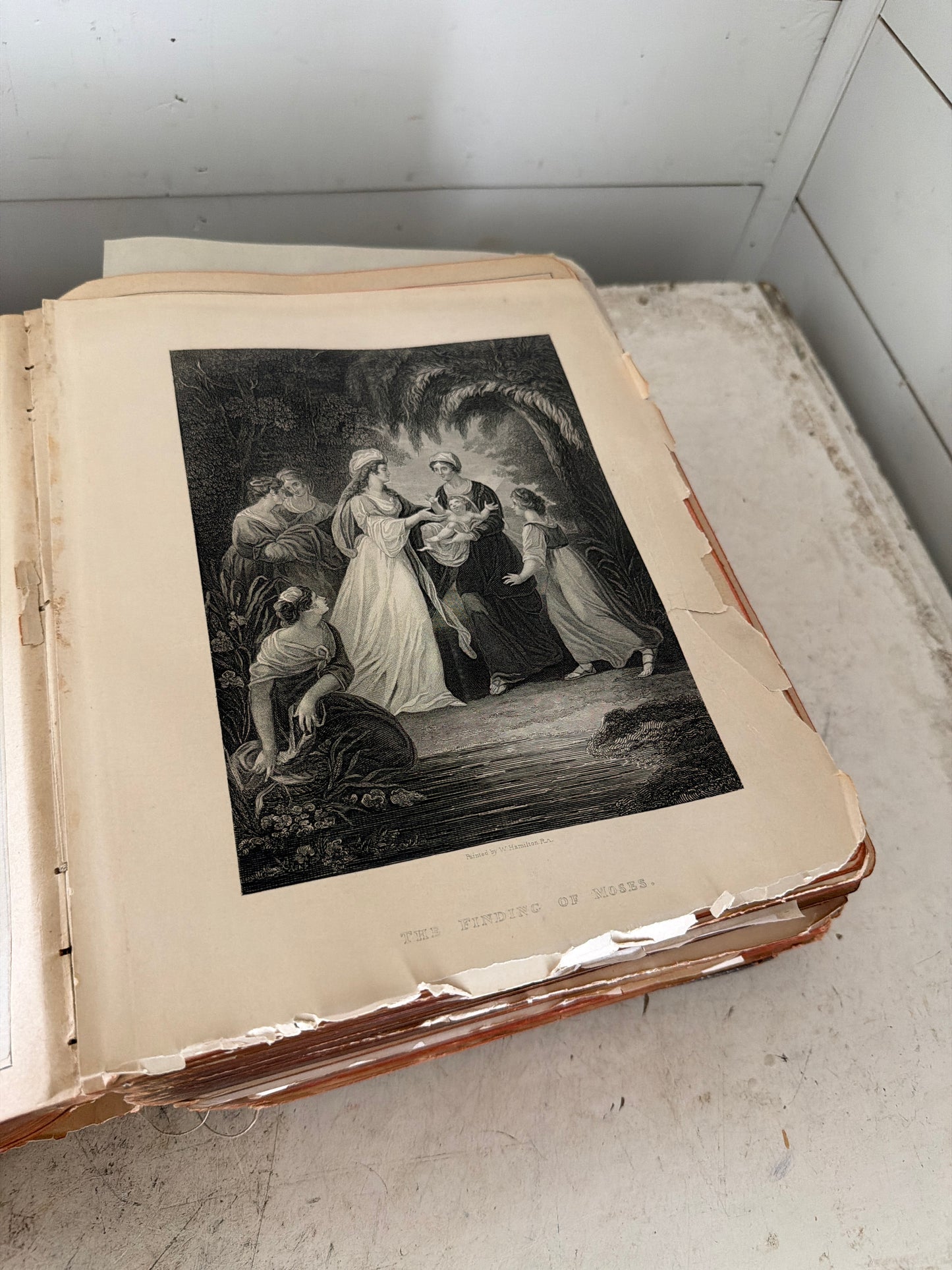 Five pages of 19th century Bible picked at random