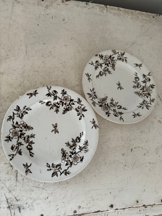 Antique 1884 Ashworth Bros Aesthetic Brown Transferware 8.5" Luncheon Plate sold individually