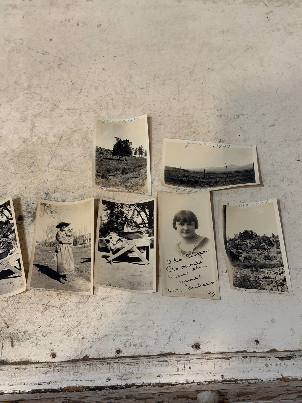 Vintage set of black and White Photos - Mostly of Dogs