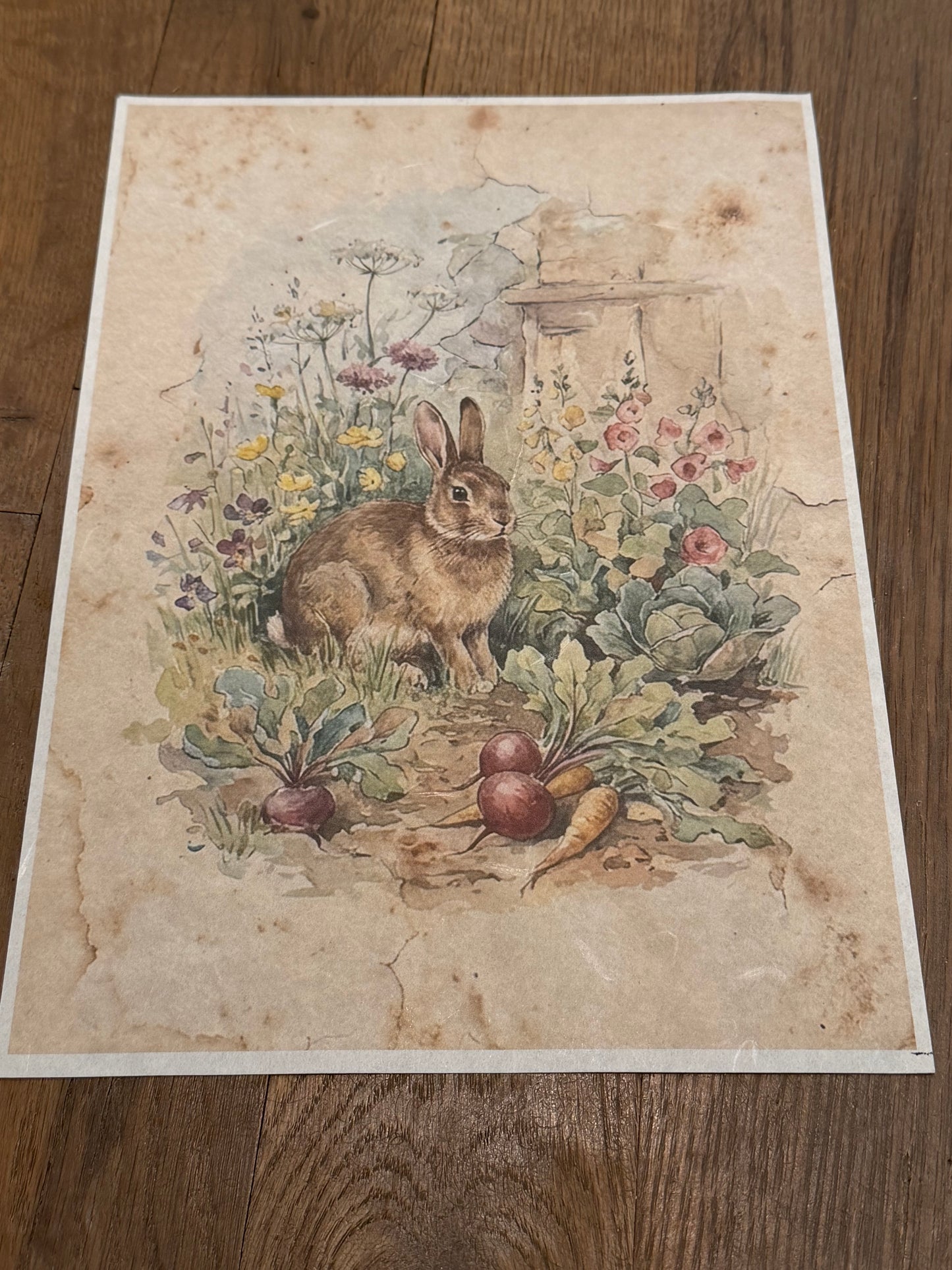 JRV Paper Subscription | Sign Up by 01/12/26 To Get January 2026 Papers