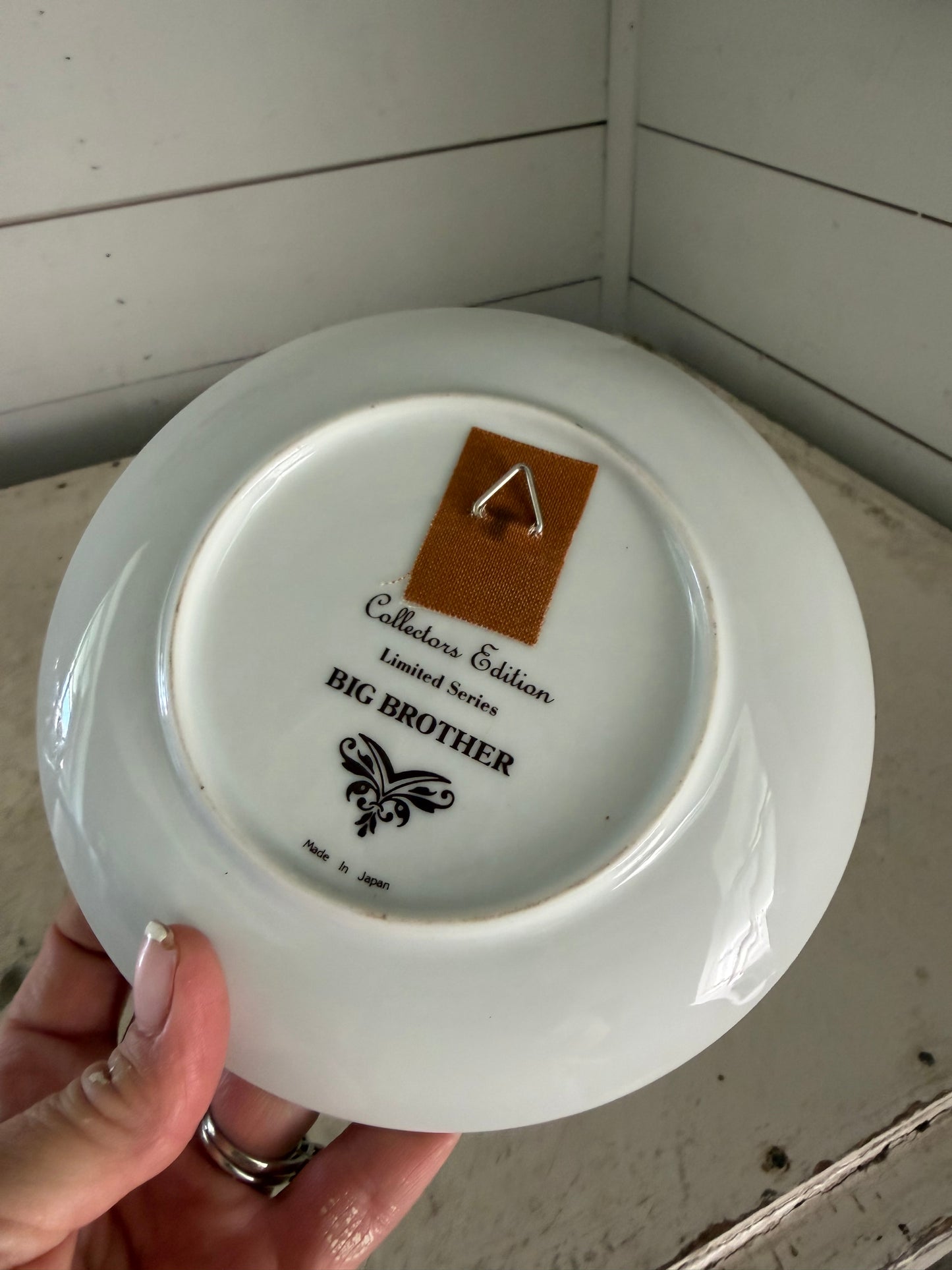 Norman Rockwell "Big Brother" collectors edition plate