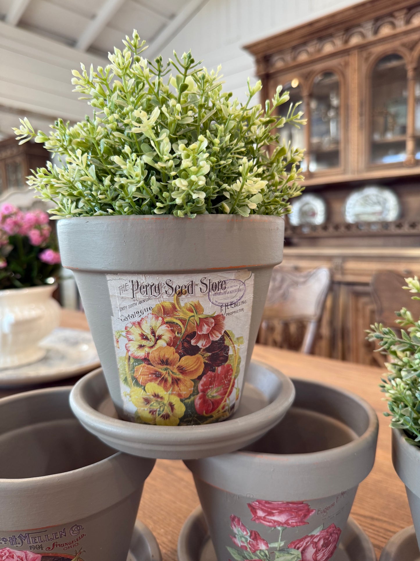 Hand Painted Terra Cotta Pot with catch plate - greenery not included - sold individually