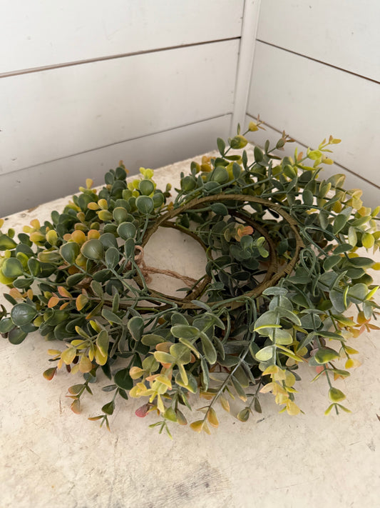 Eucalyptus wreath set