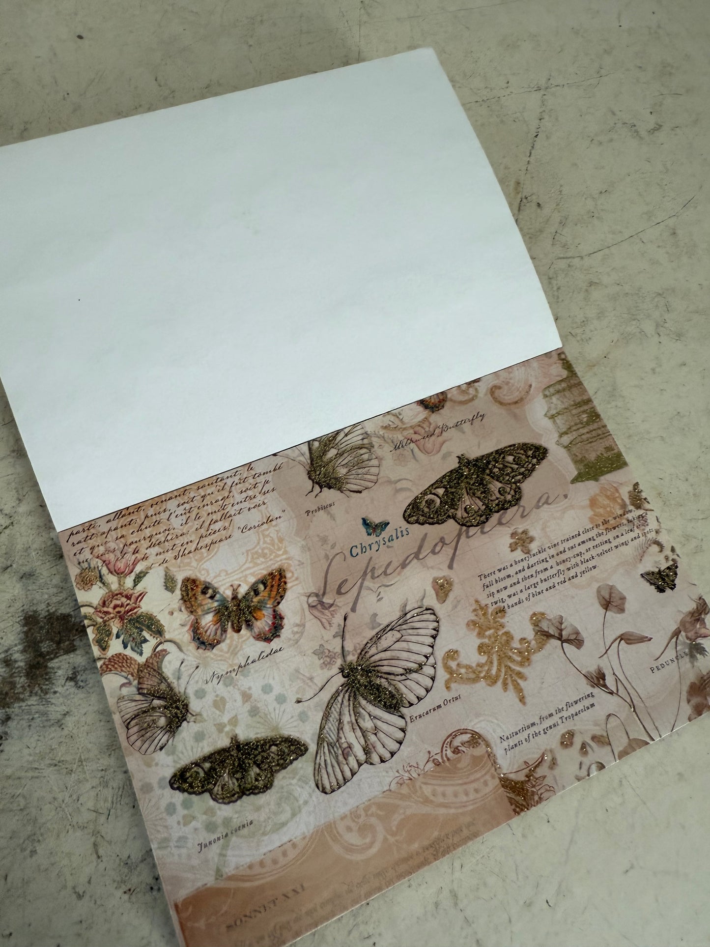 Butterfly Scrapbook Paper 6.5x4.5” a few sheets may be missing