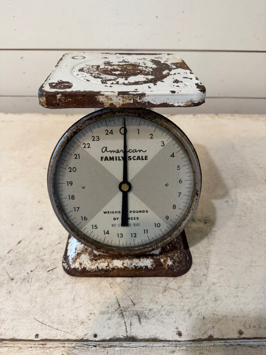 Vintage American Family 25 lb Scale