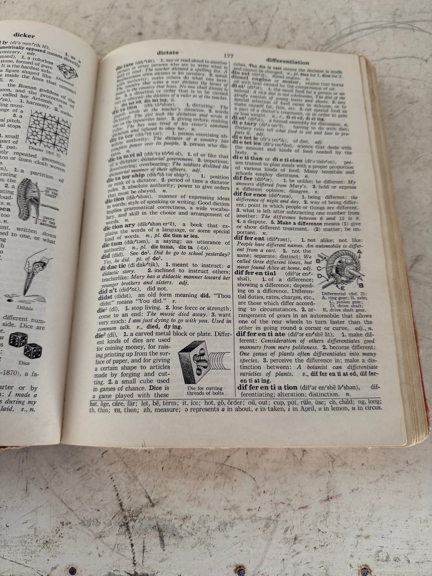 Thorndike + Barnhart Junior Dictionary (1962, Hardcover)