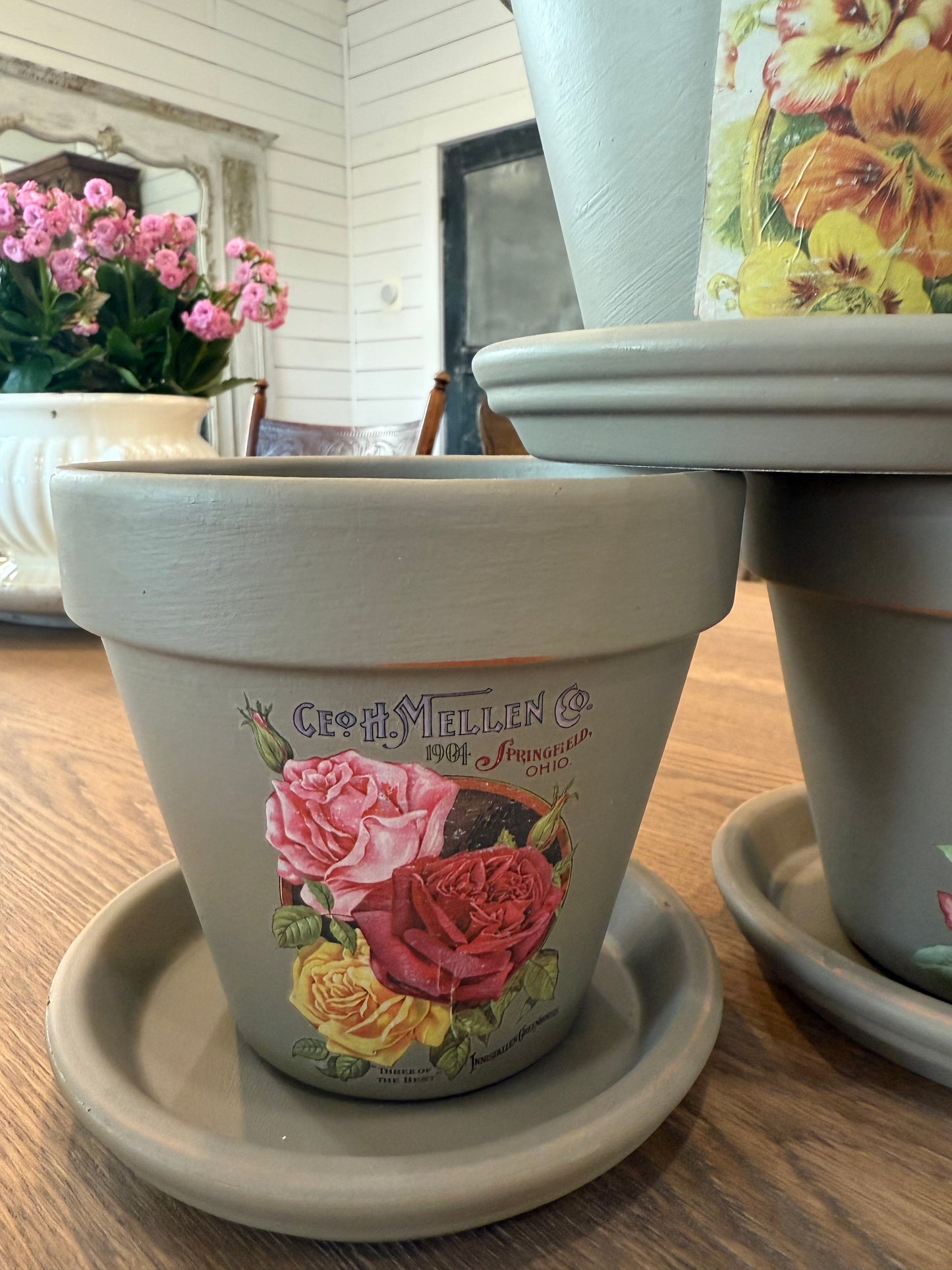 Hand Painted Terra Cotta Pot with catch plate - greenery not included - sold individually