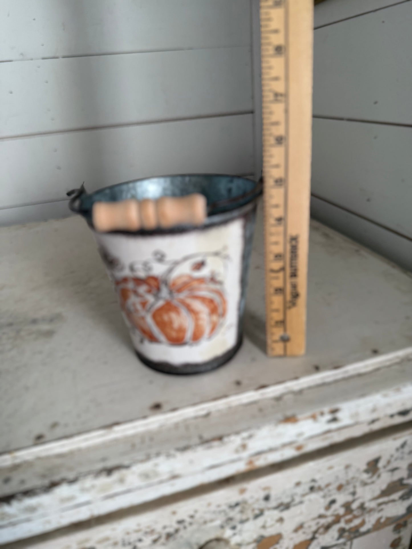 Small Pumpkin Bucket