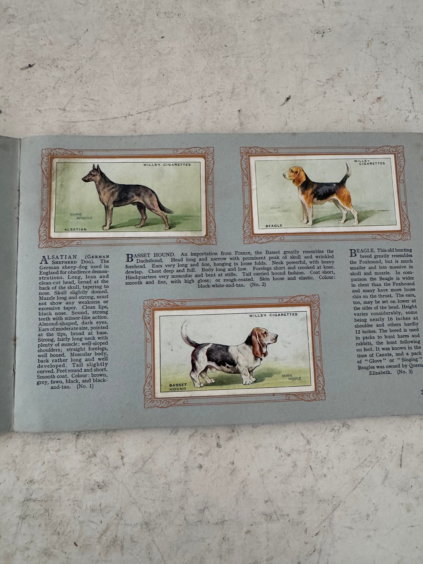 An Album of Dogs Cigarette Card Album