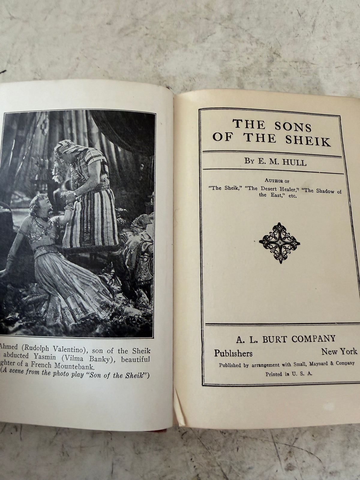 The Sons of the Sheik - Book
