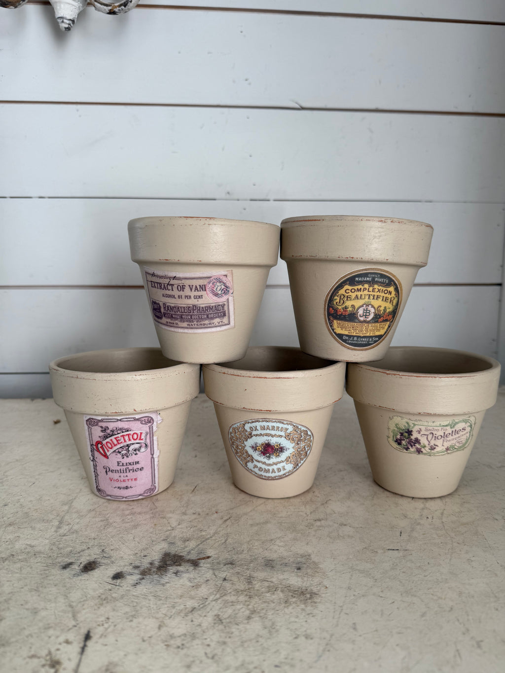 Terracotta Label Pot Sold Individually - Greenery not included