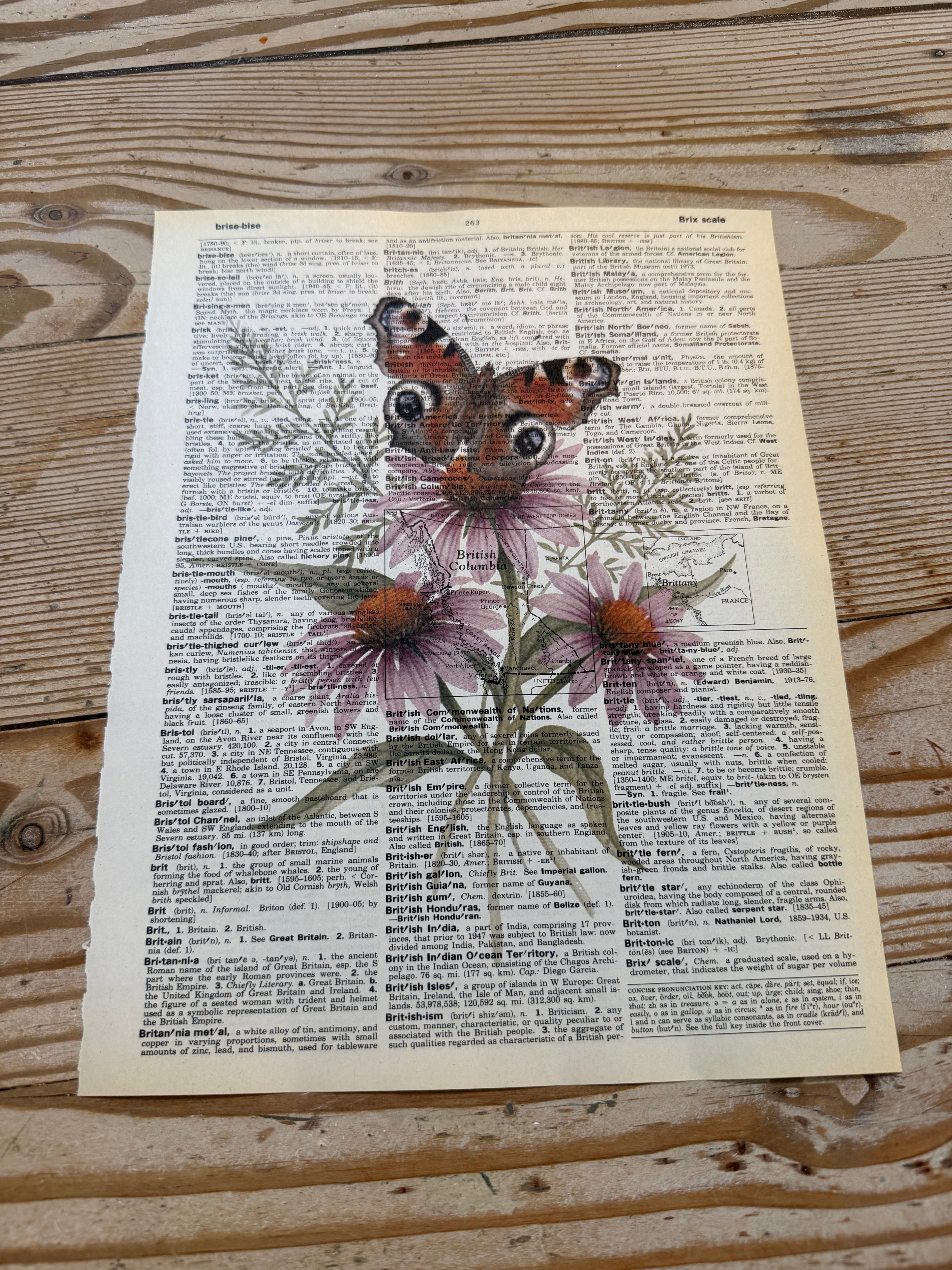 Print of a butterfly and flowers on an old book page, placed on a wooden surface.