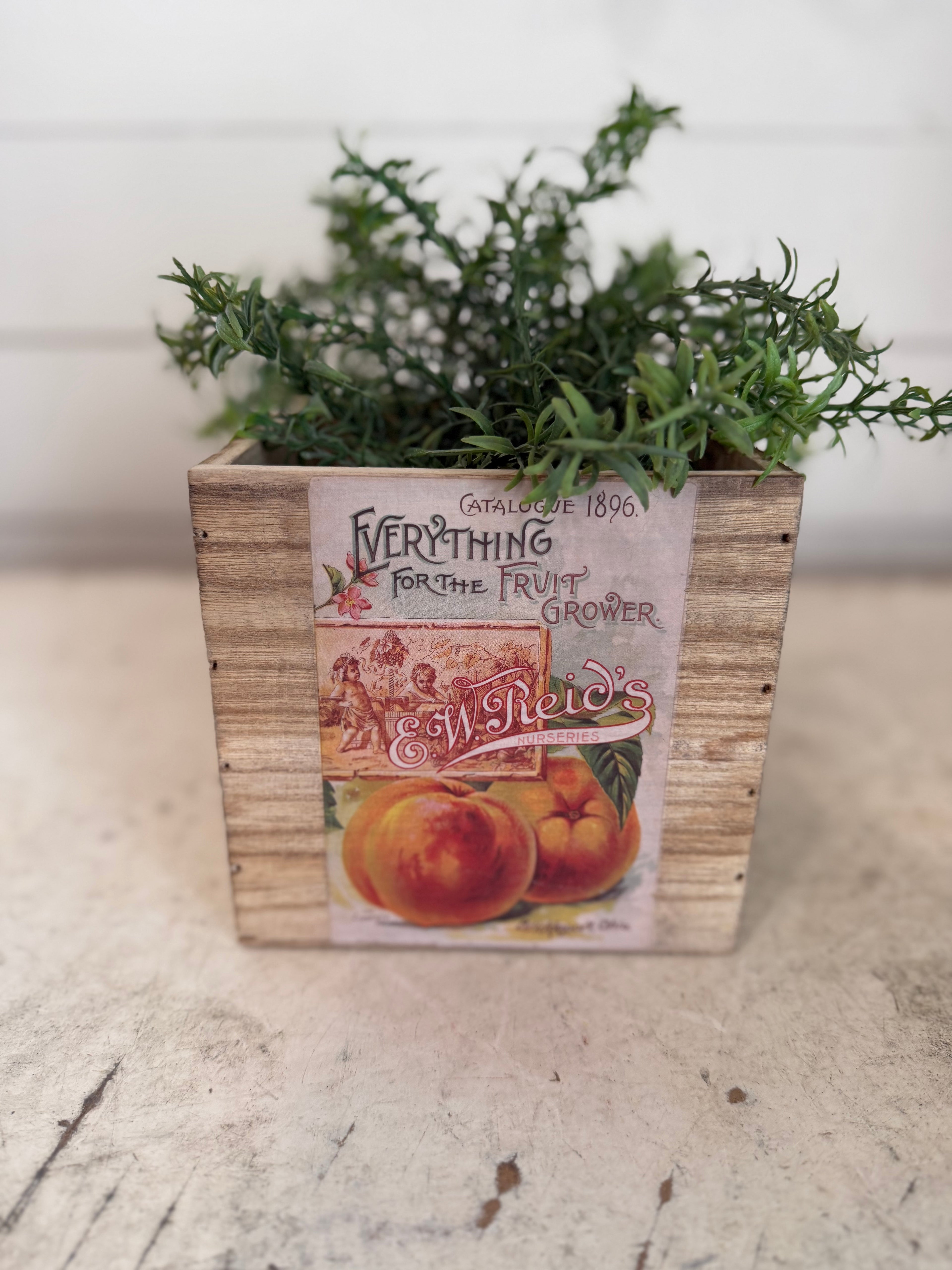 Vintage style fruit Box greenery not included