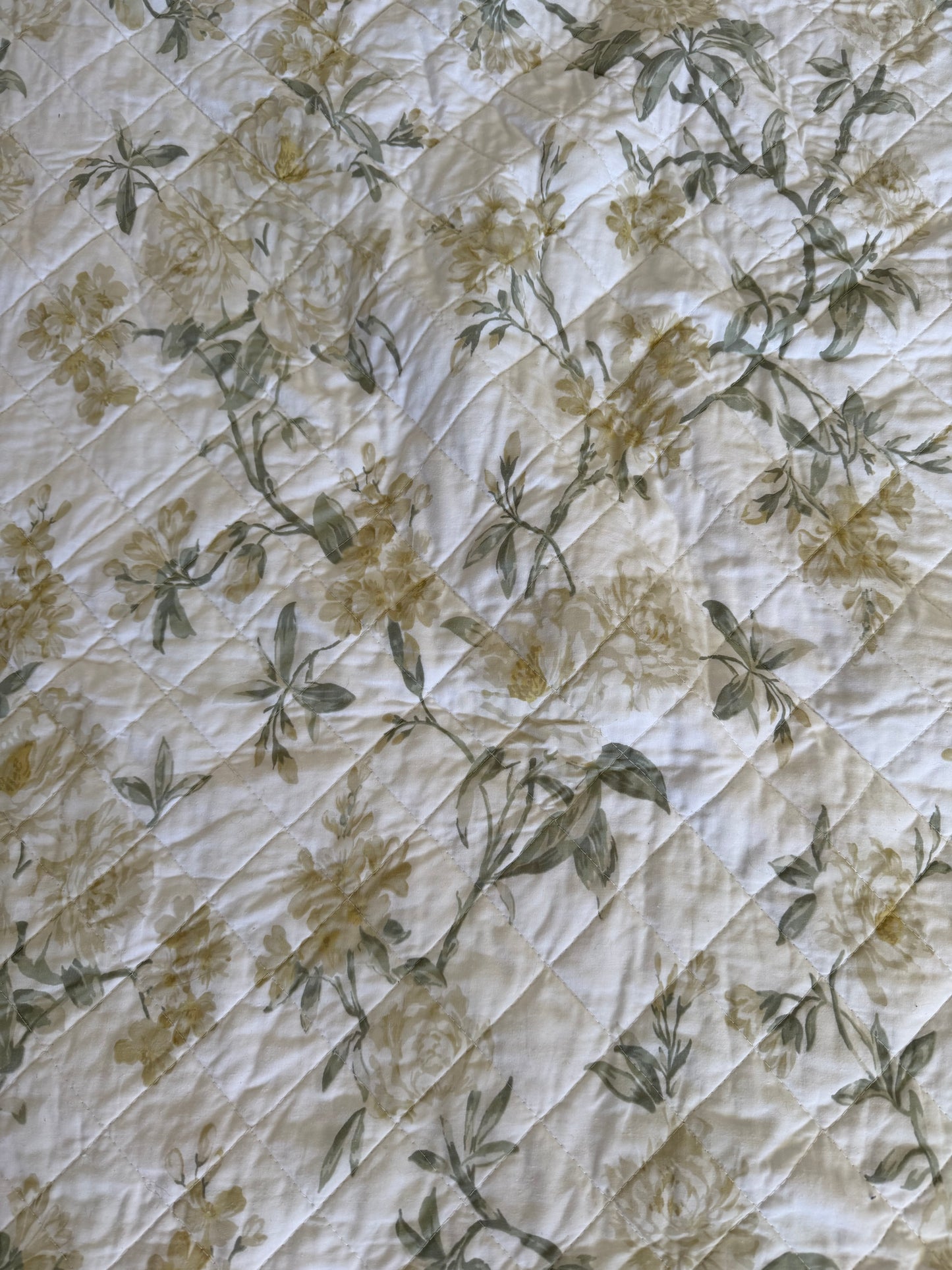 Nostalgia Home Juliette white Floral Queen Comforter
