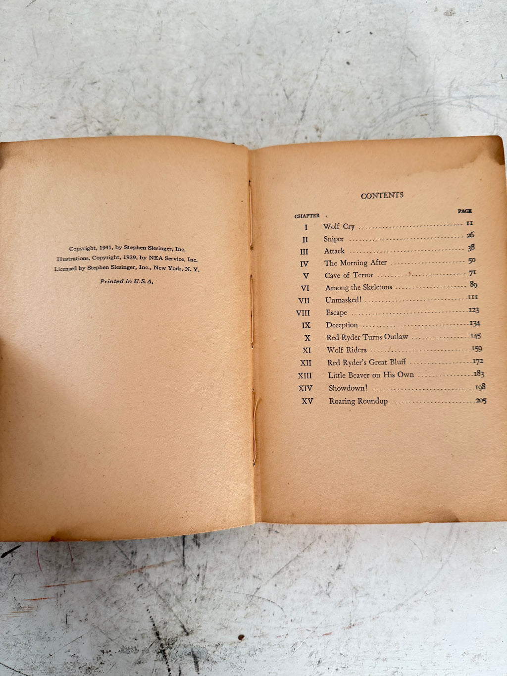 Red Rider, the secret of Wolf Canyon book