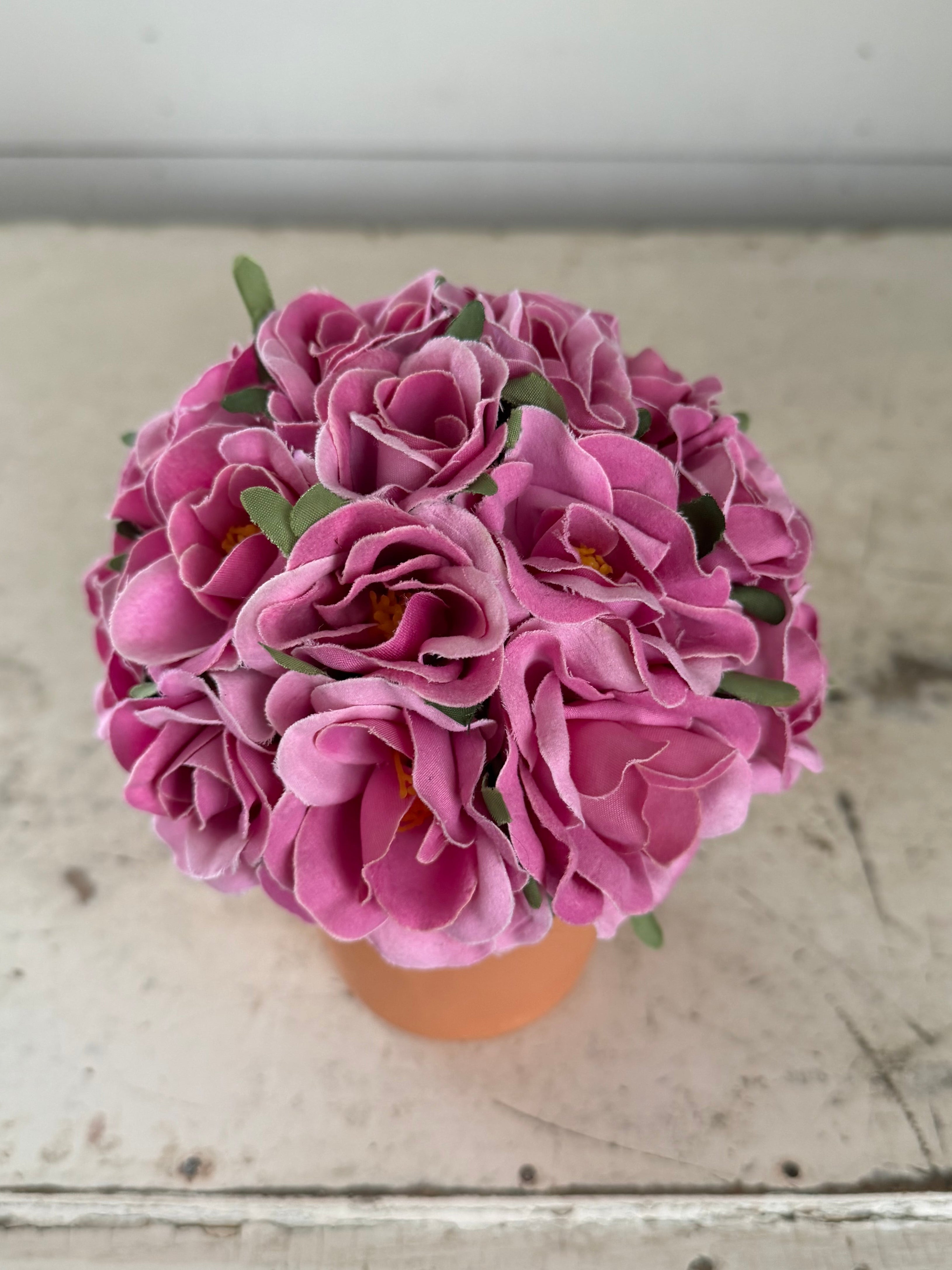 Pink flowers in terracotta pot