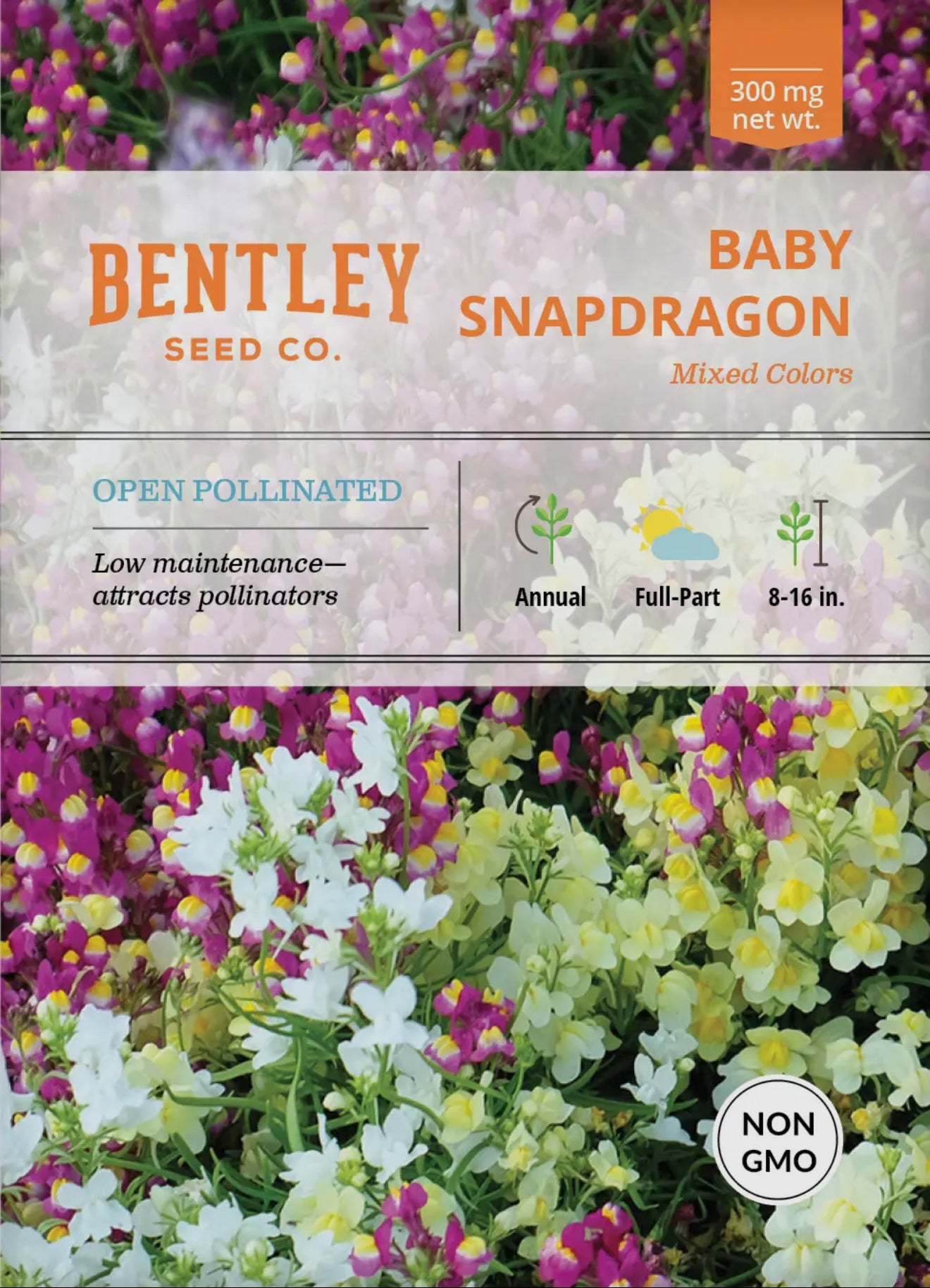 Bentley Seeds
