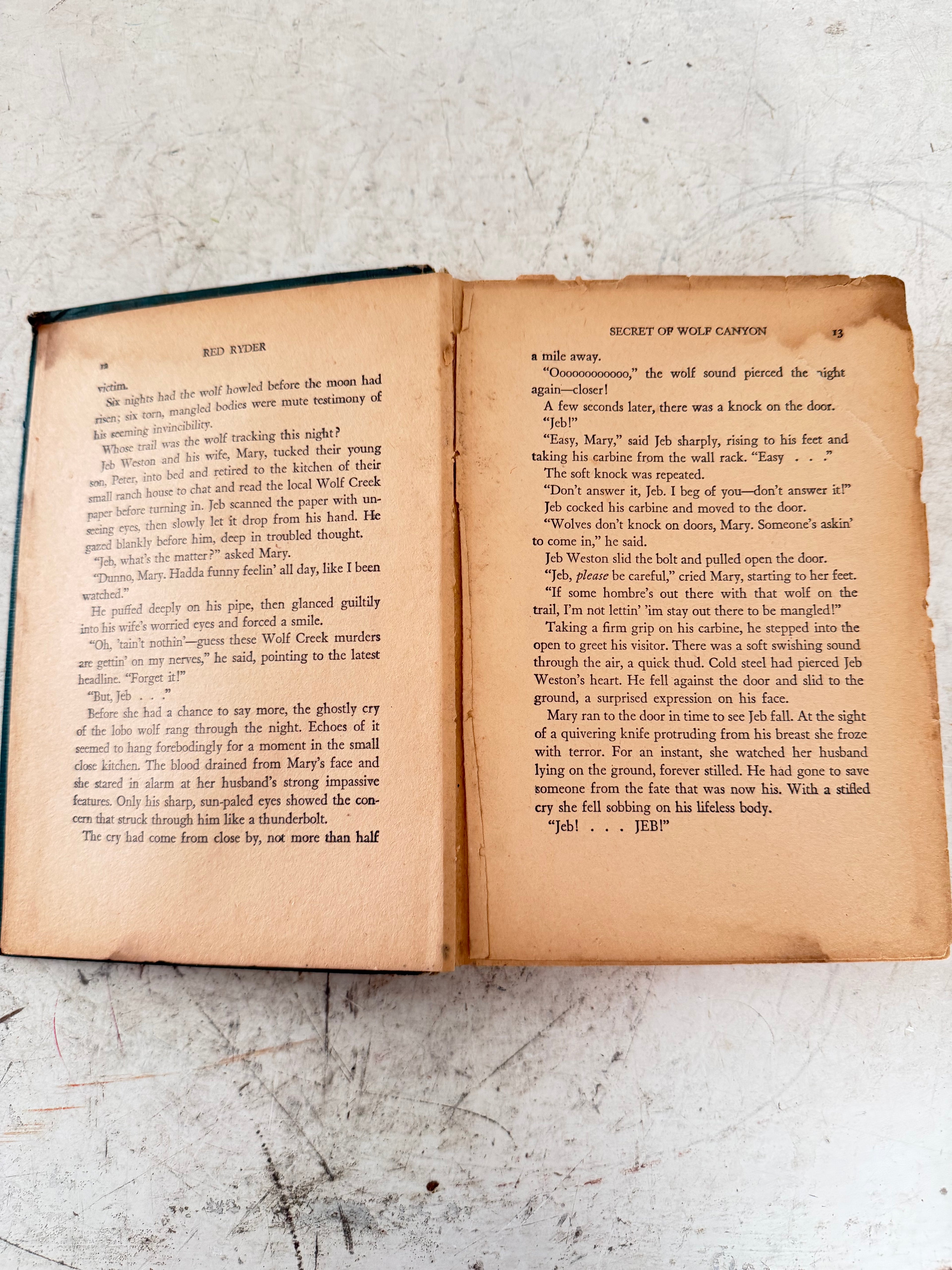 Red Rider, the secret of Wolf Canyon book