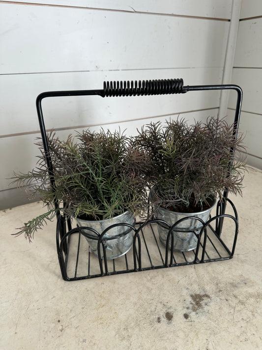 Metal wire basket with plants