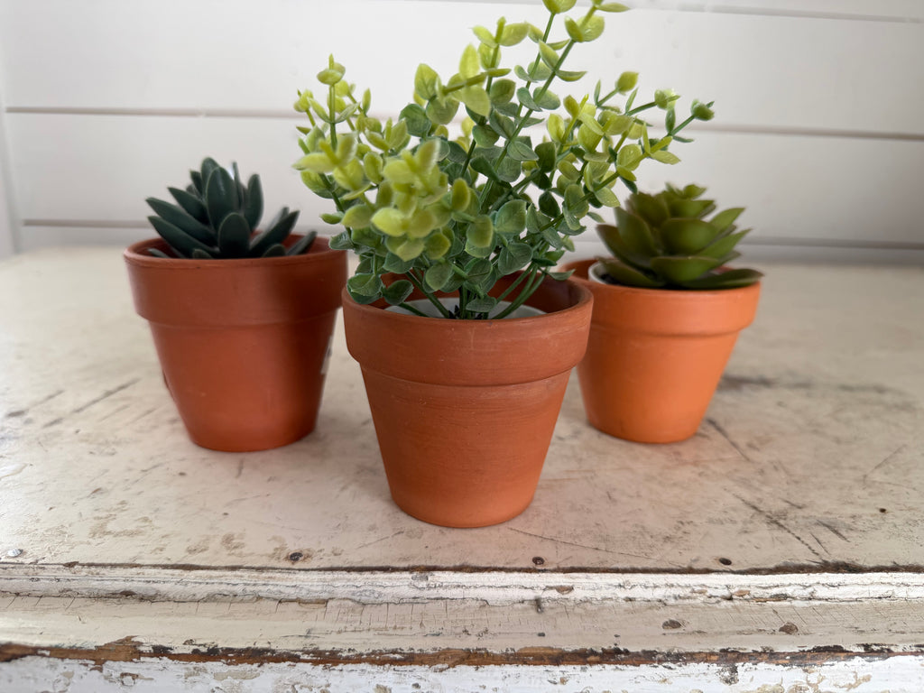 Small terra-cotta pot with faux succulent - sold individually