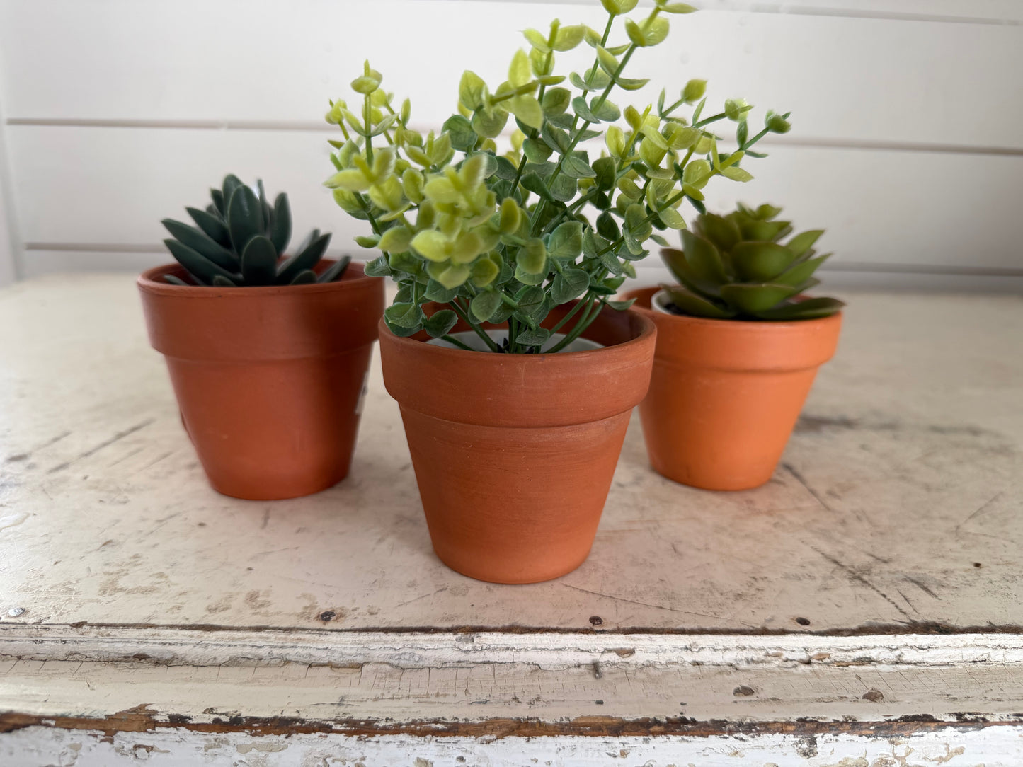 Small terra-cotta pot with faux succulent - sold individually