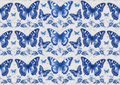 Butterfly Toile | Discontinued JRV A4 Rice Paper