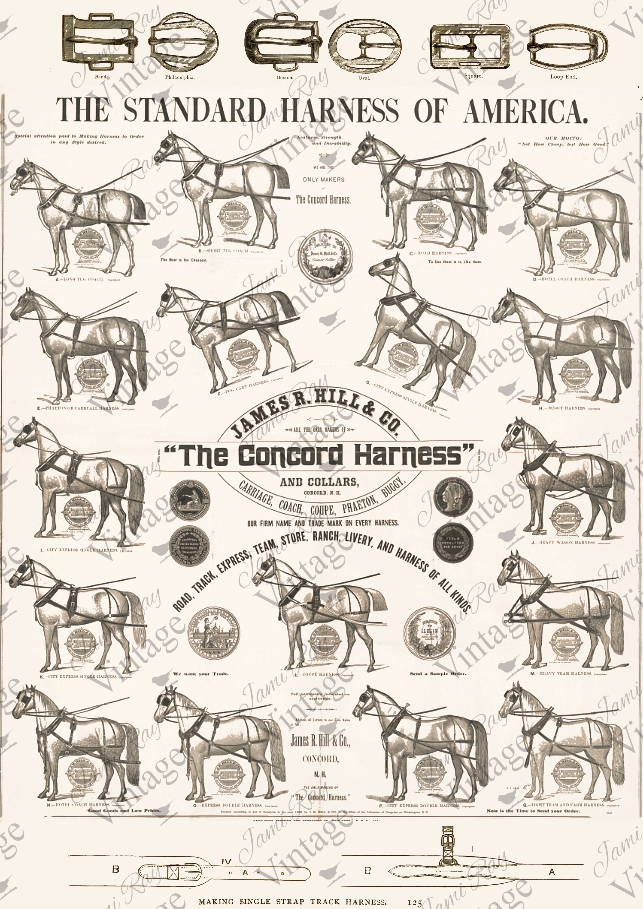 Concord Harness | Discontinued JRV A4 Rice Paper