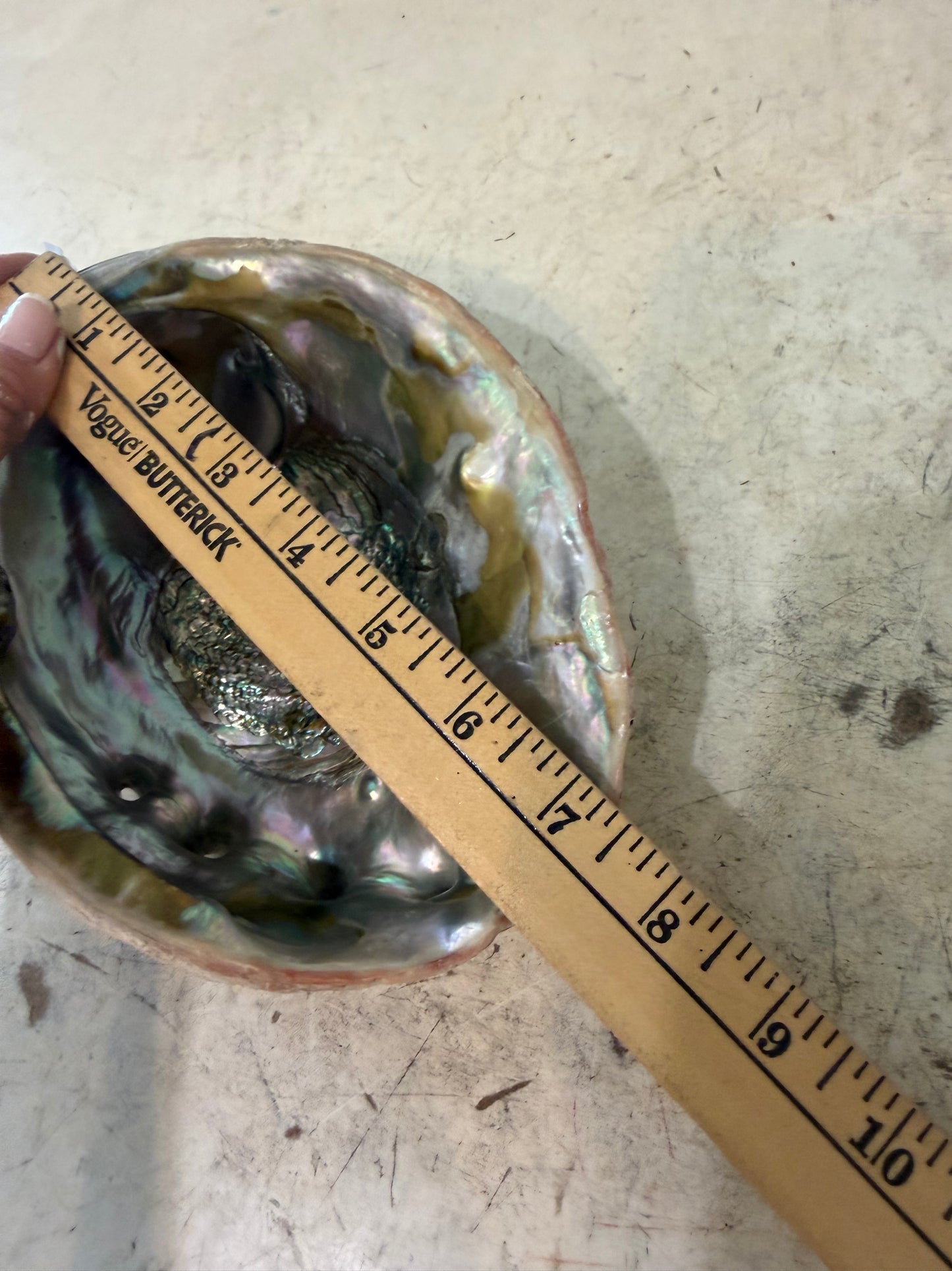 Vintage abalone show