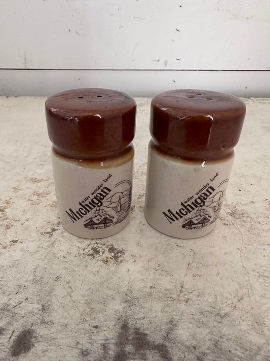 Vintage Michigan Salt and Pepper Shaker