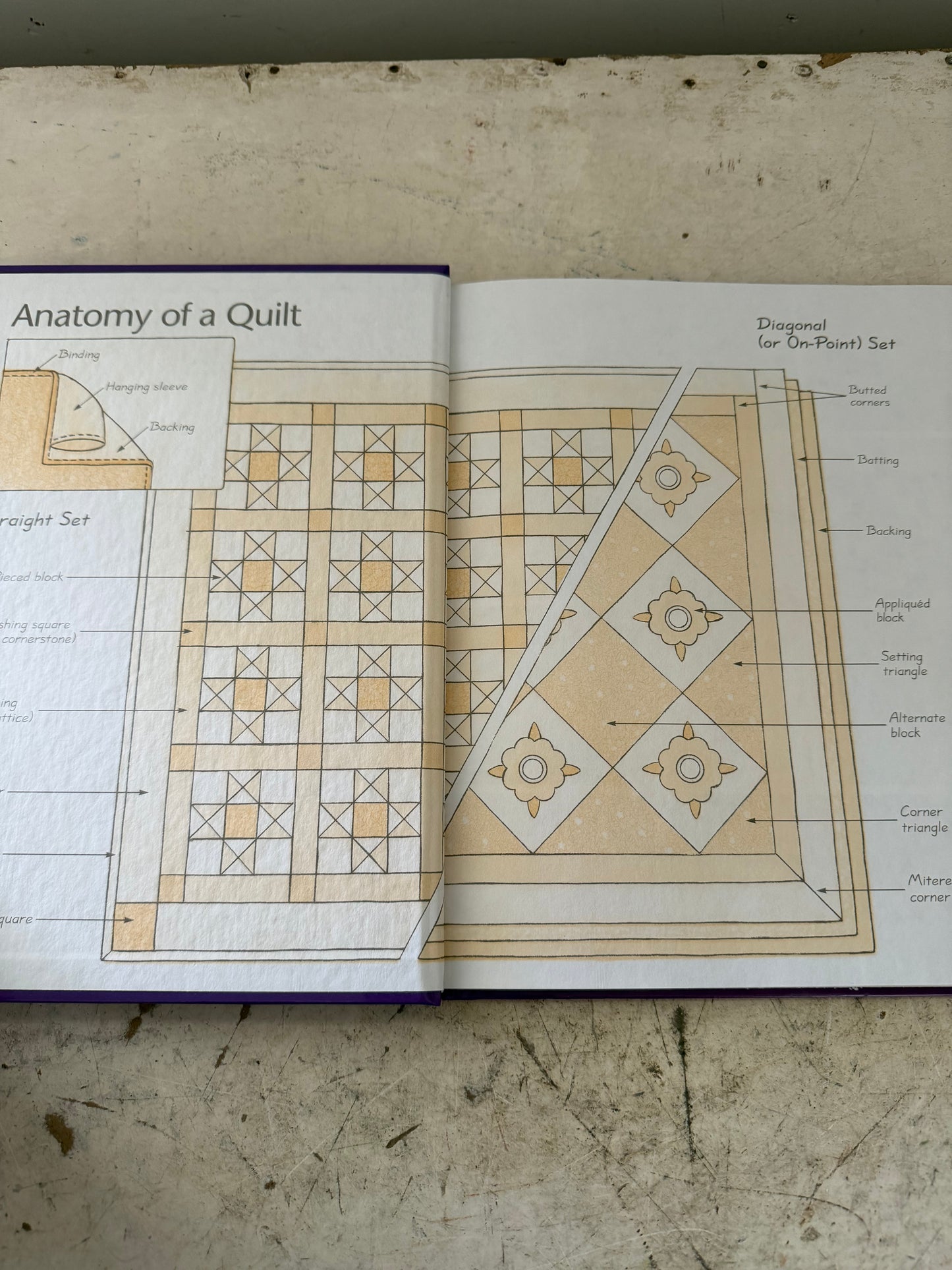 Sensational Sets and Borders by Sally Schneider