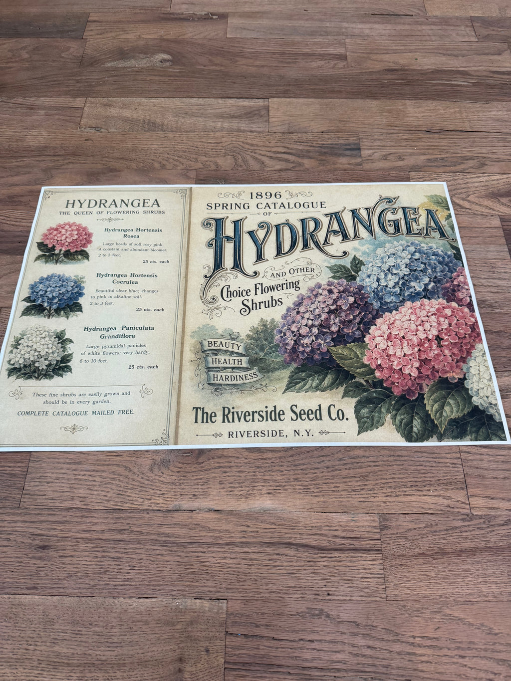 Hydrangea Blooms | JRV Medium Rice Paper