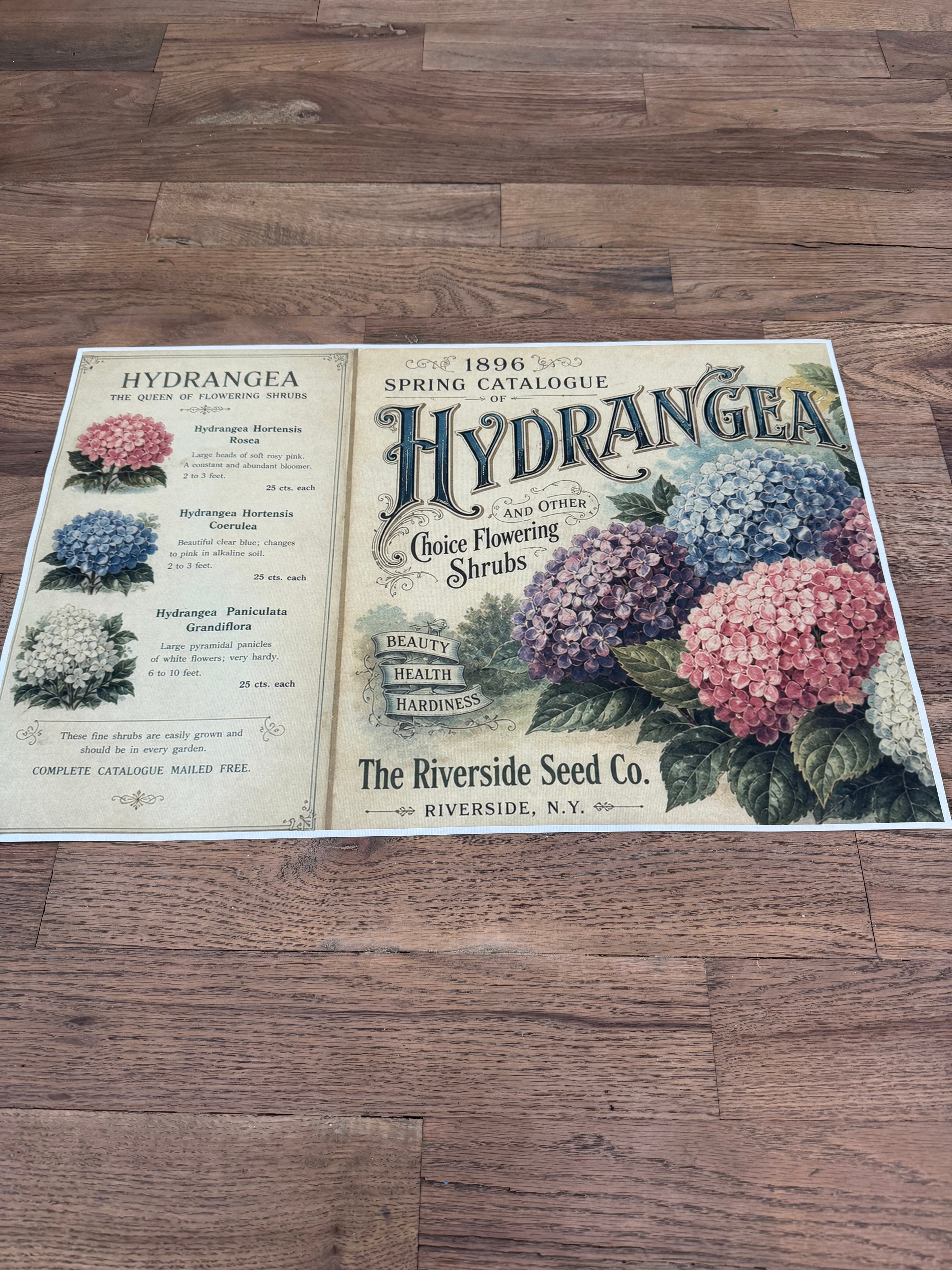 Hydrangea Blooms | JRV Medium Rice Paper