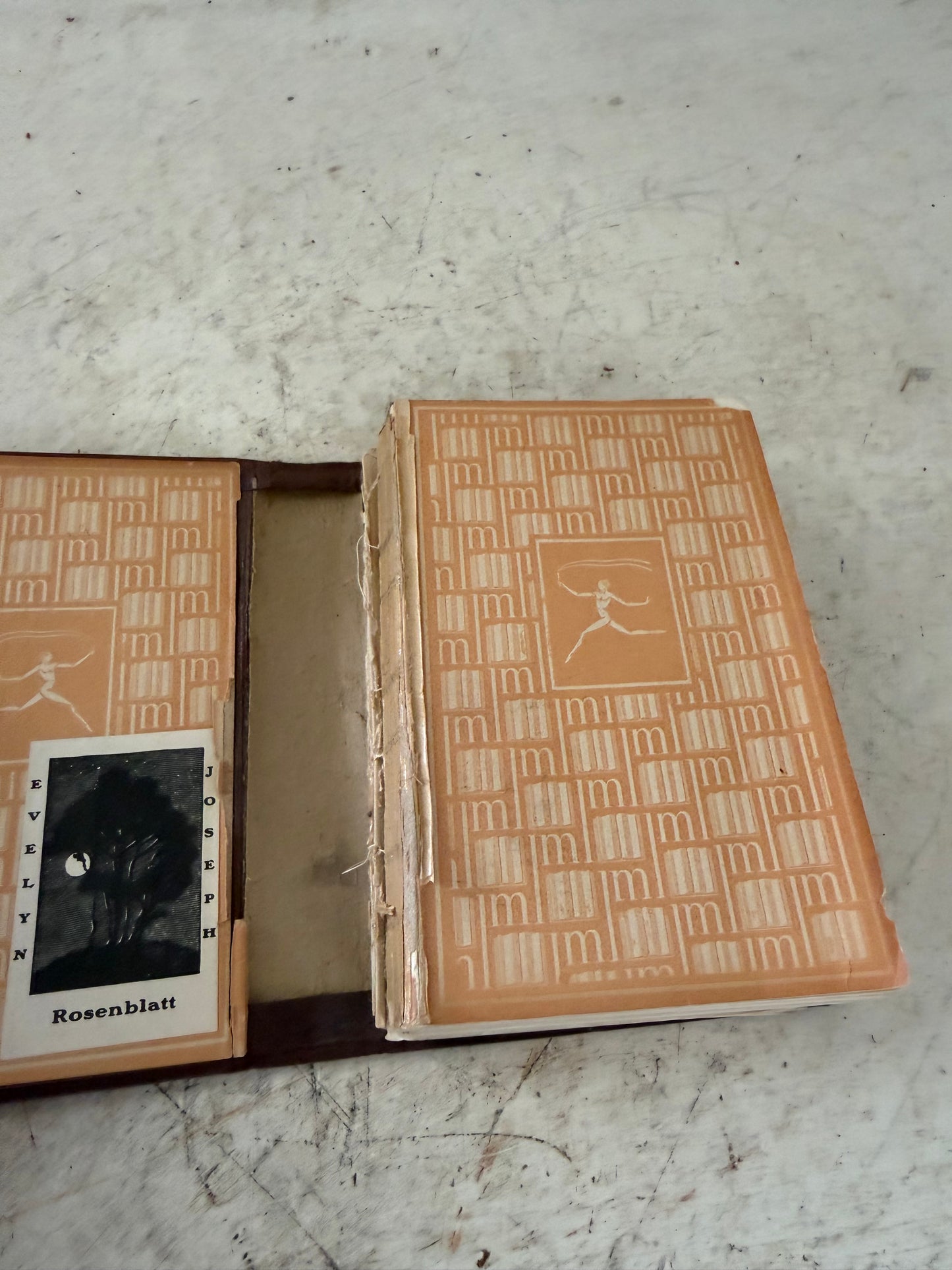 The magic mountain Hard cover - 1932 by Mann, Thomas, and Lowe, Helen Tracy (Porter), Mrs as is