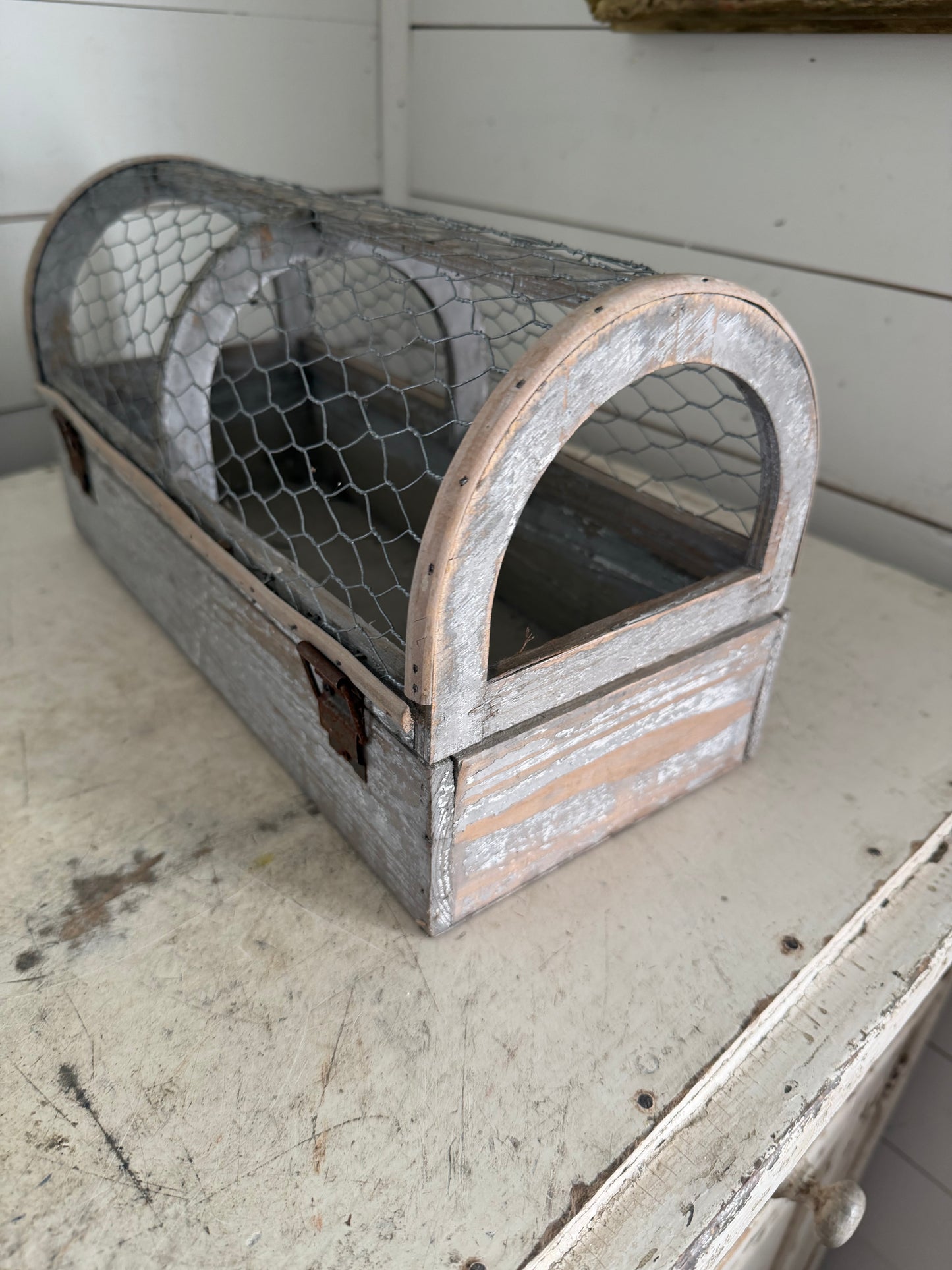 Chicken wire cage