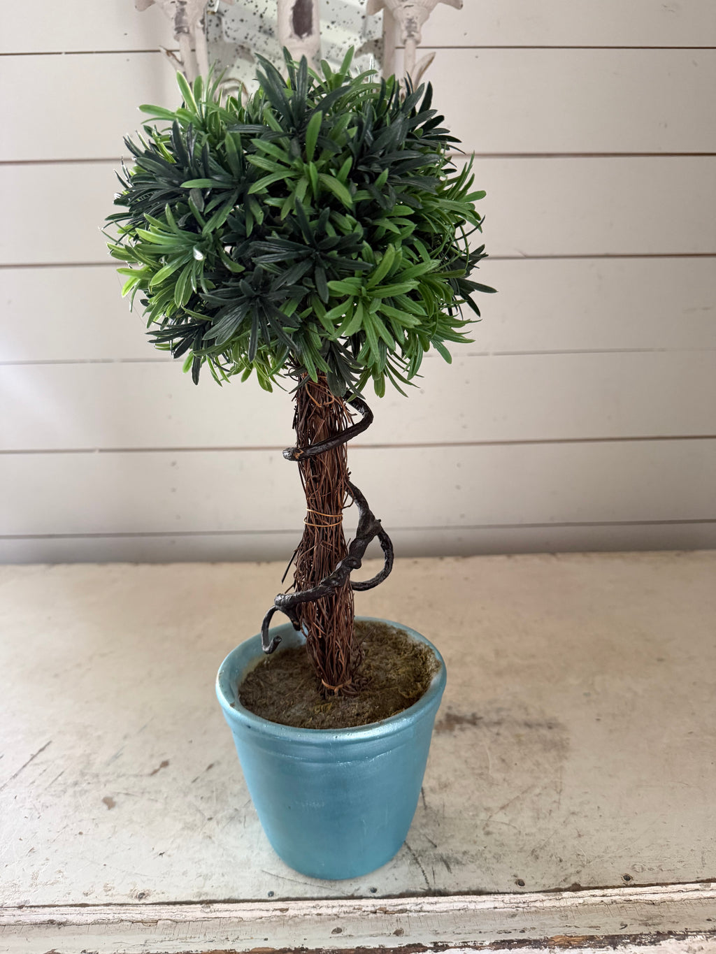 Faux Topiary will get makeover