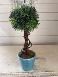 Faux Topiary will get makeover