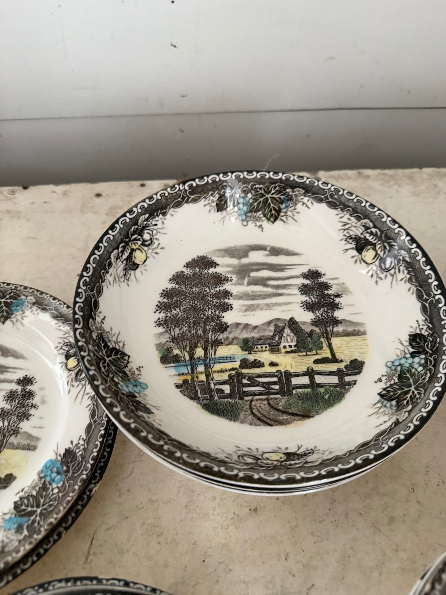 Vintage Spring Valley Dishes