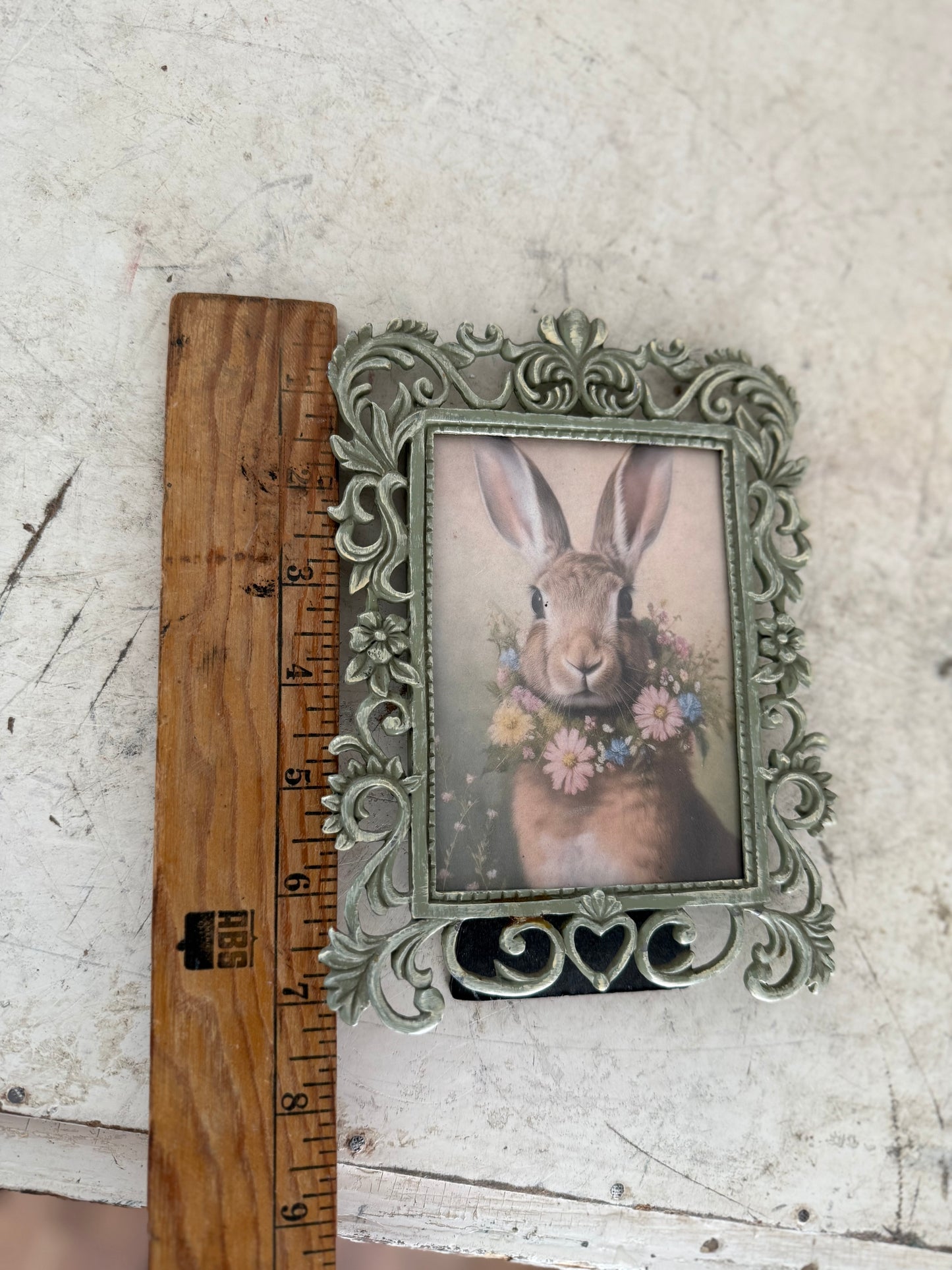 Framed Bunny Photo