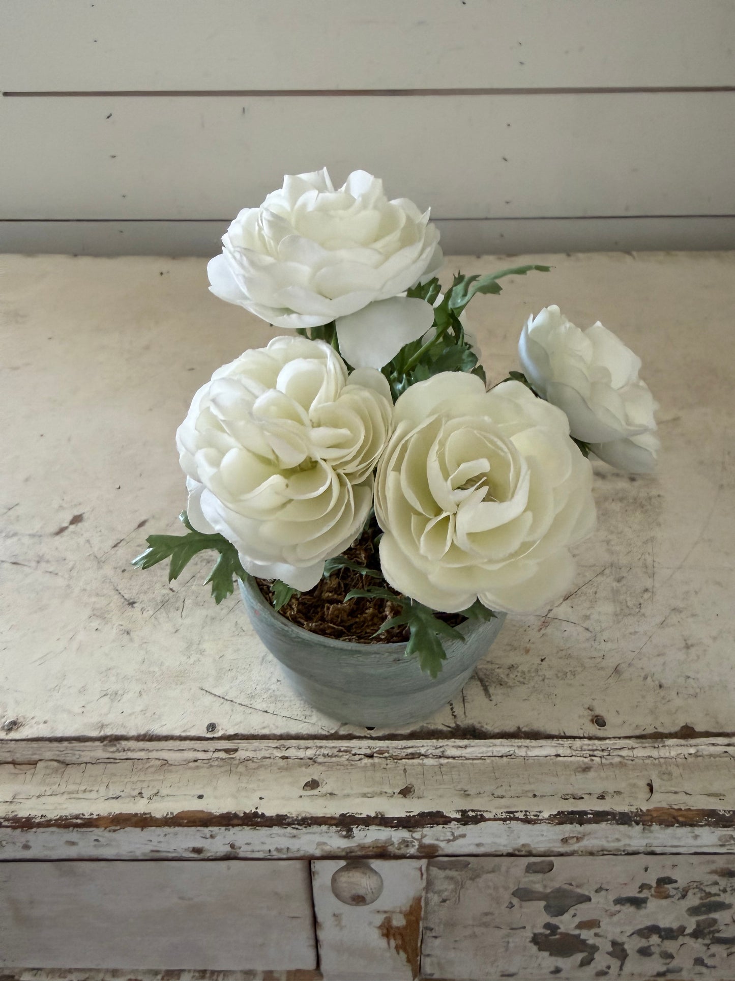 Peonies in cement Pot will get makeover