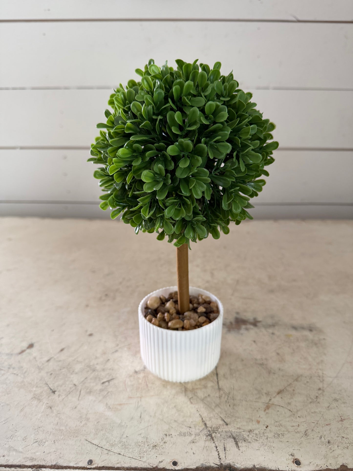 Topiary with White Ribbed Planter