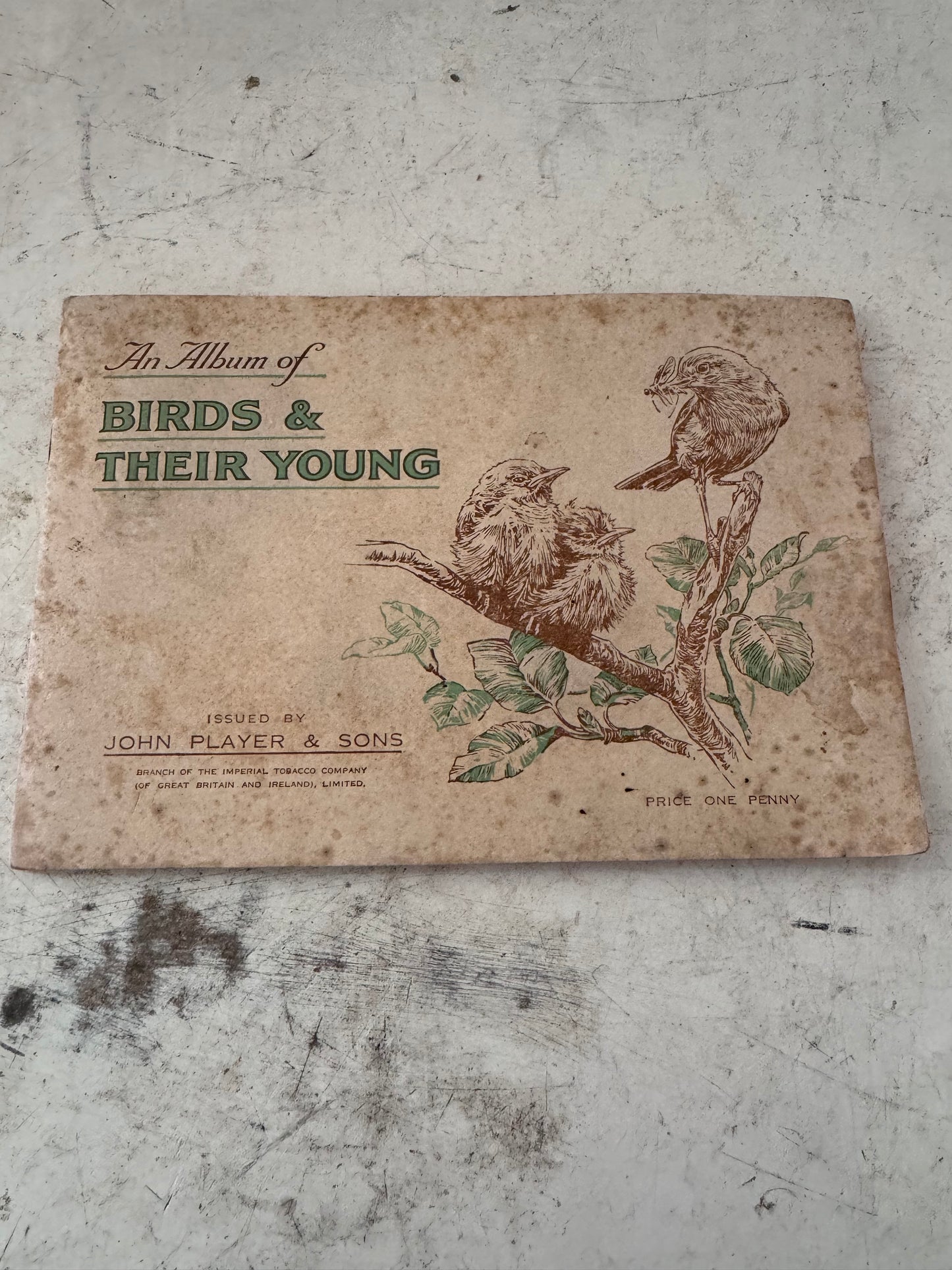 Album of Birds and their young Cigarette Card Issues