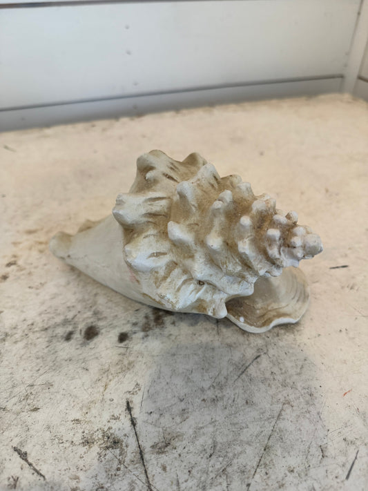 Resin Conch Shell