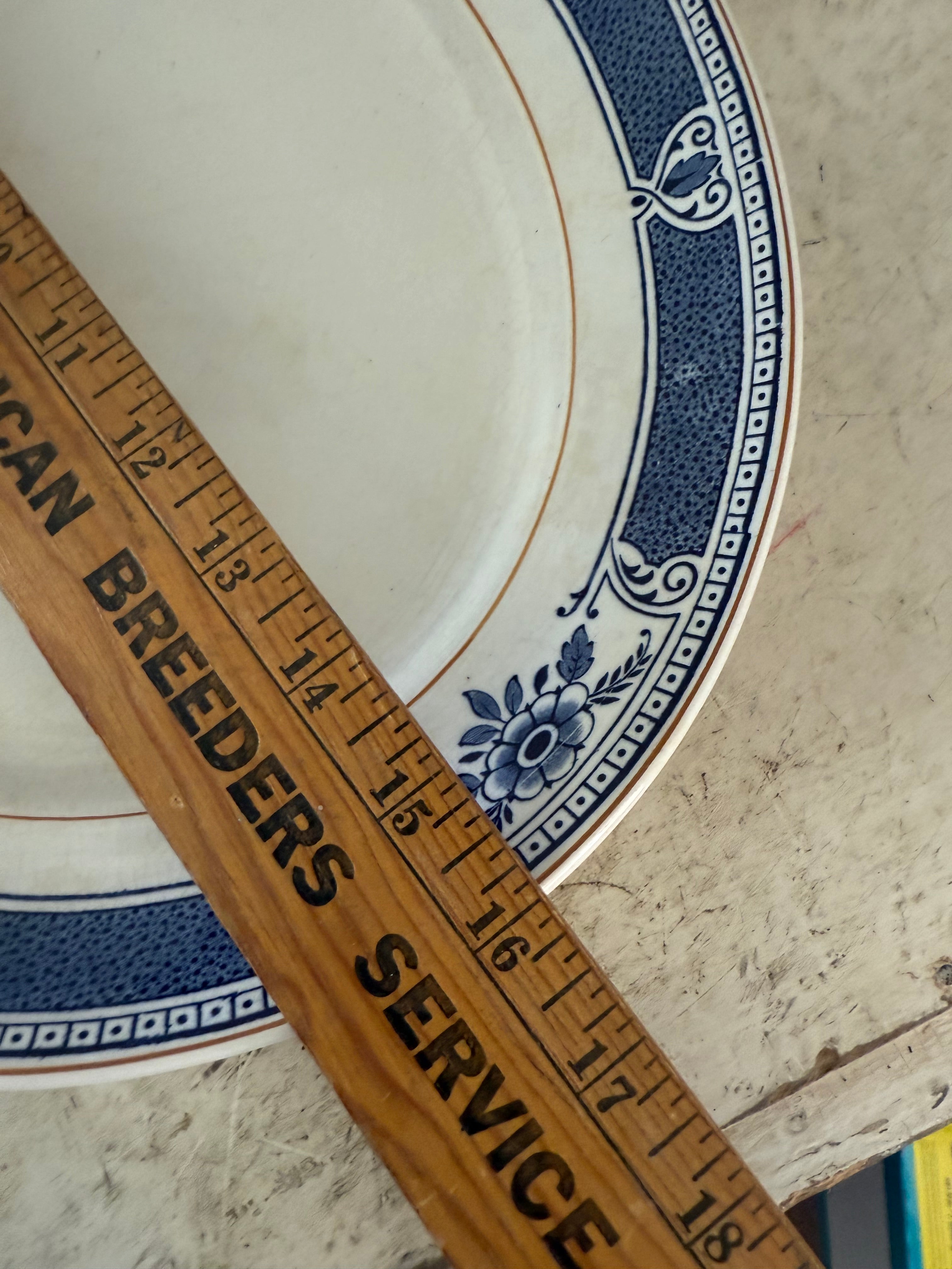Set of Antique Bristol Ironstone Platters