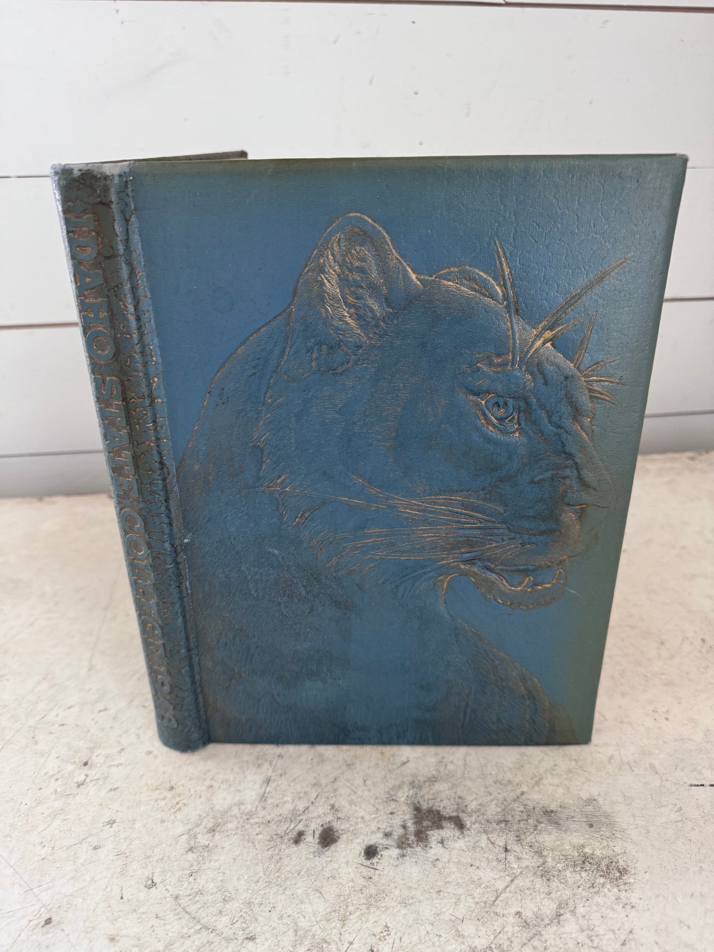 1948 Yearbook with Embossed Cougar On Cover - Idaho State College