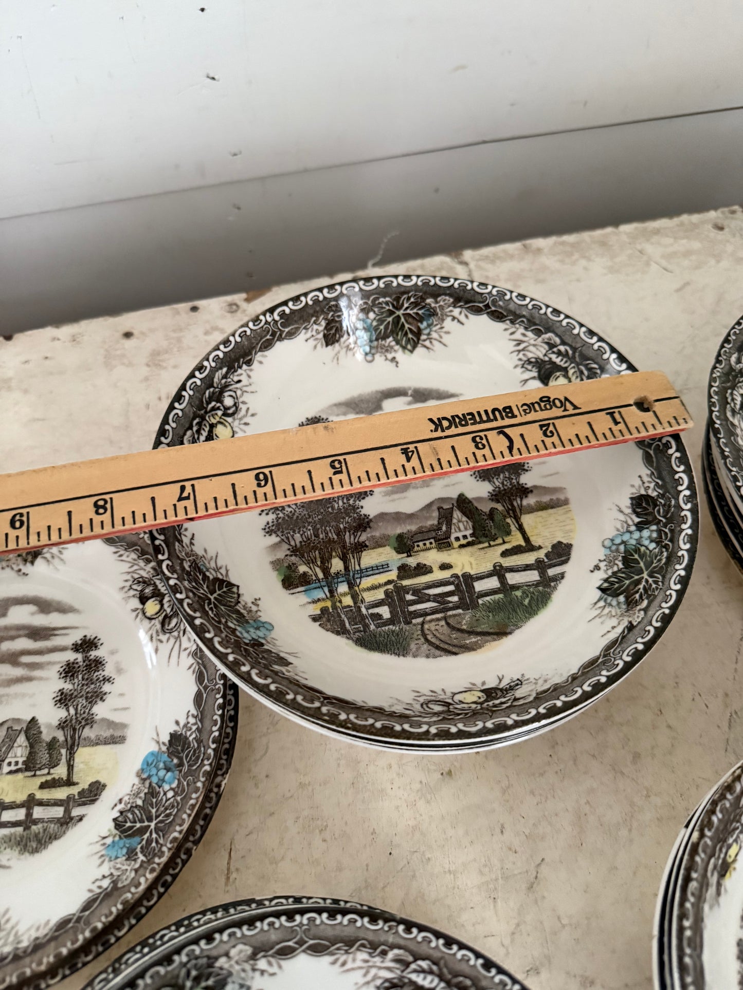 Vintage Spring Valley Dishes