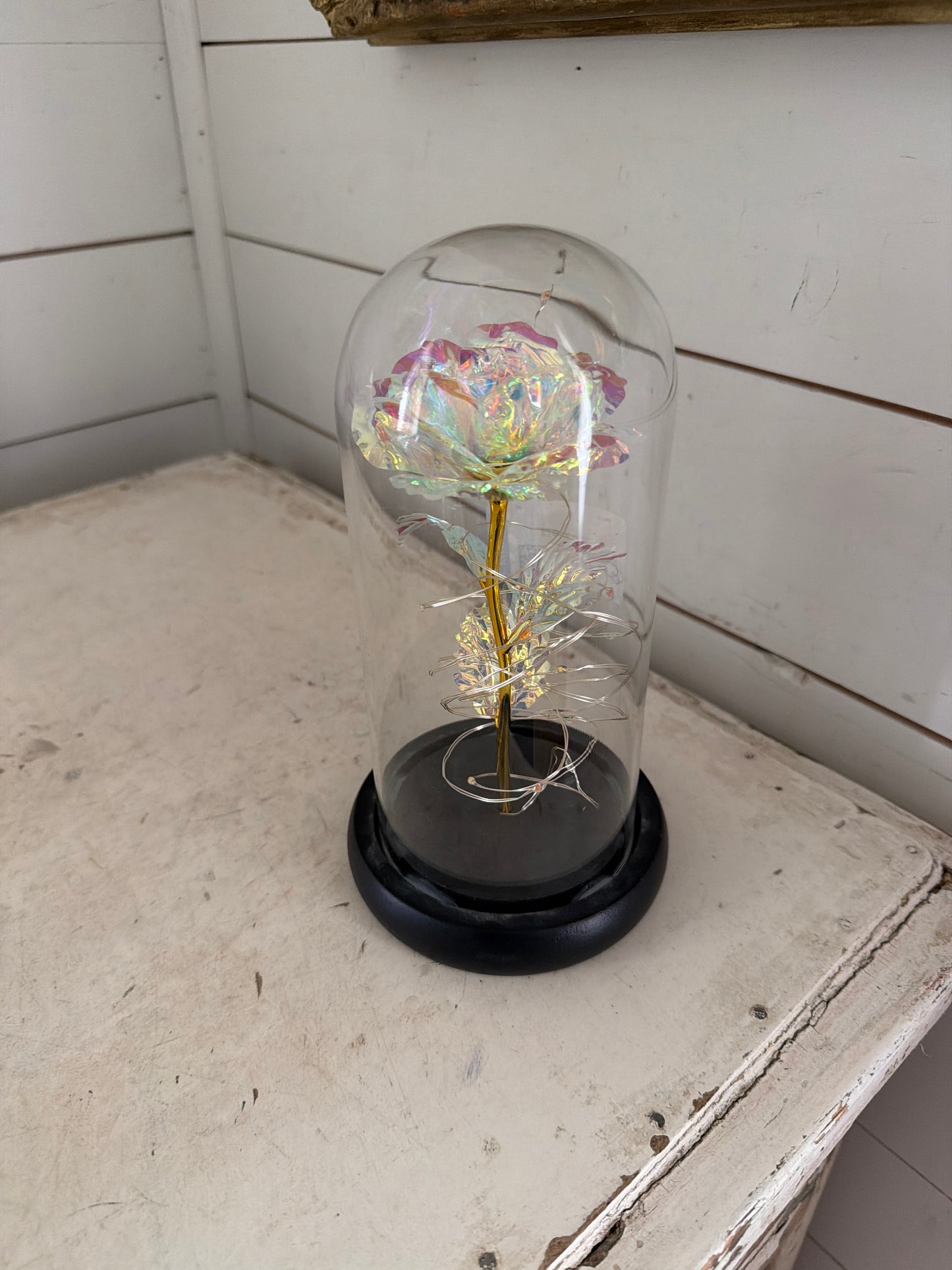 Cloche will get makeover