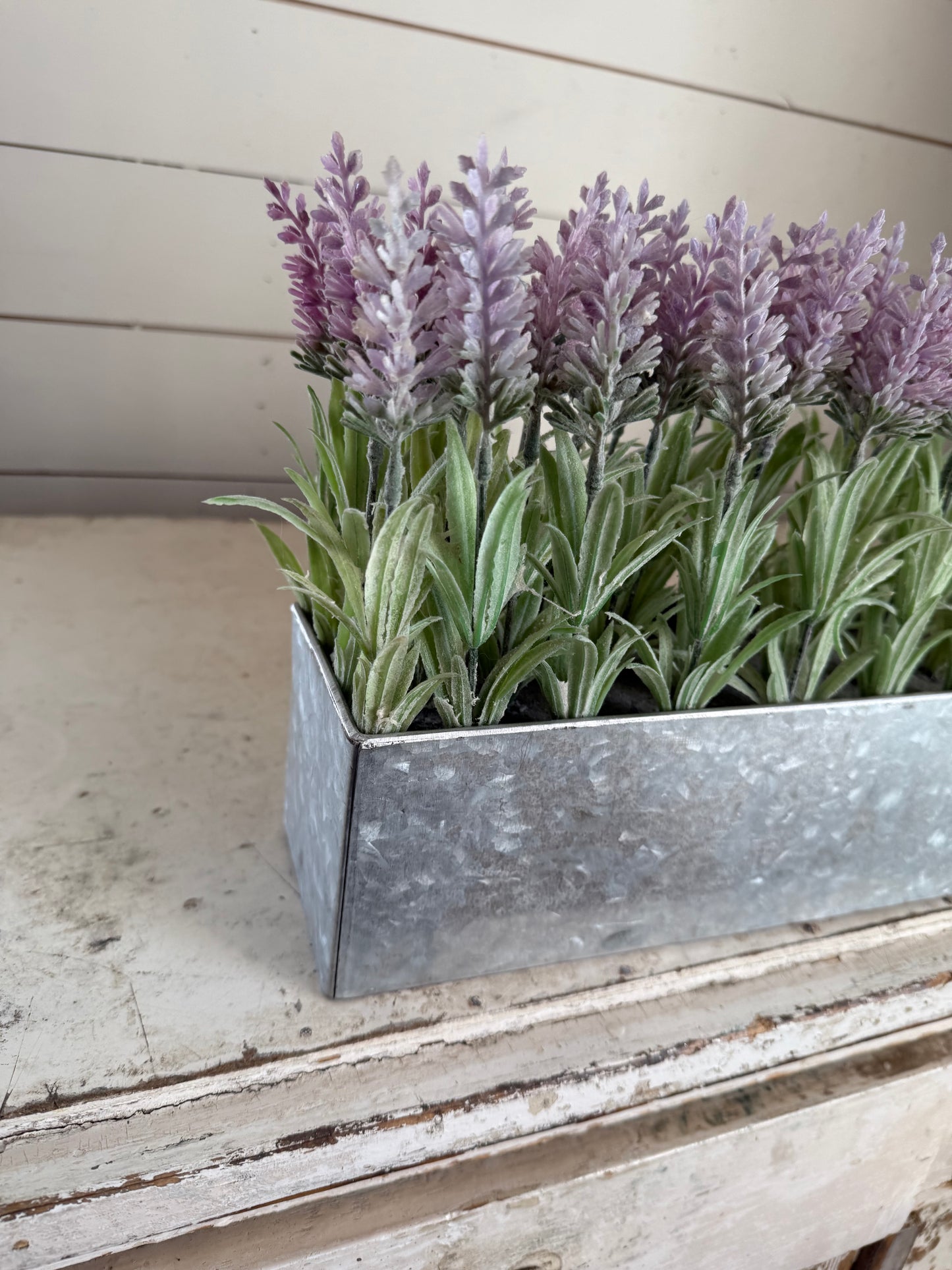 Lavender planter will get new moss