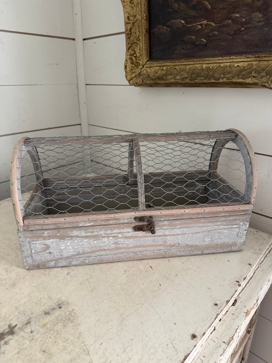 Chicken wire cage