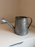 Galvanized Pitcher will get makeover