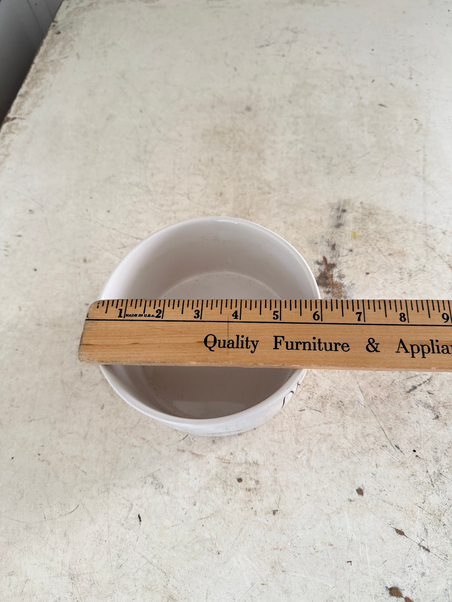 Rae Dunn “Drink Up” Pet Bowl